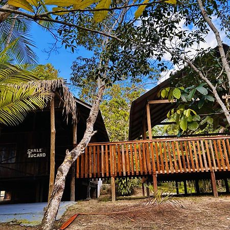 Ponta Poranga Jungle Lodge Manaus Dış mekan fotoğraf