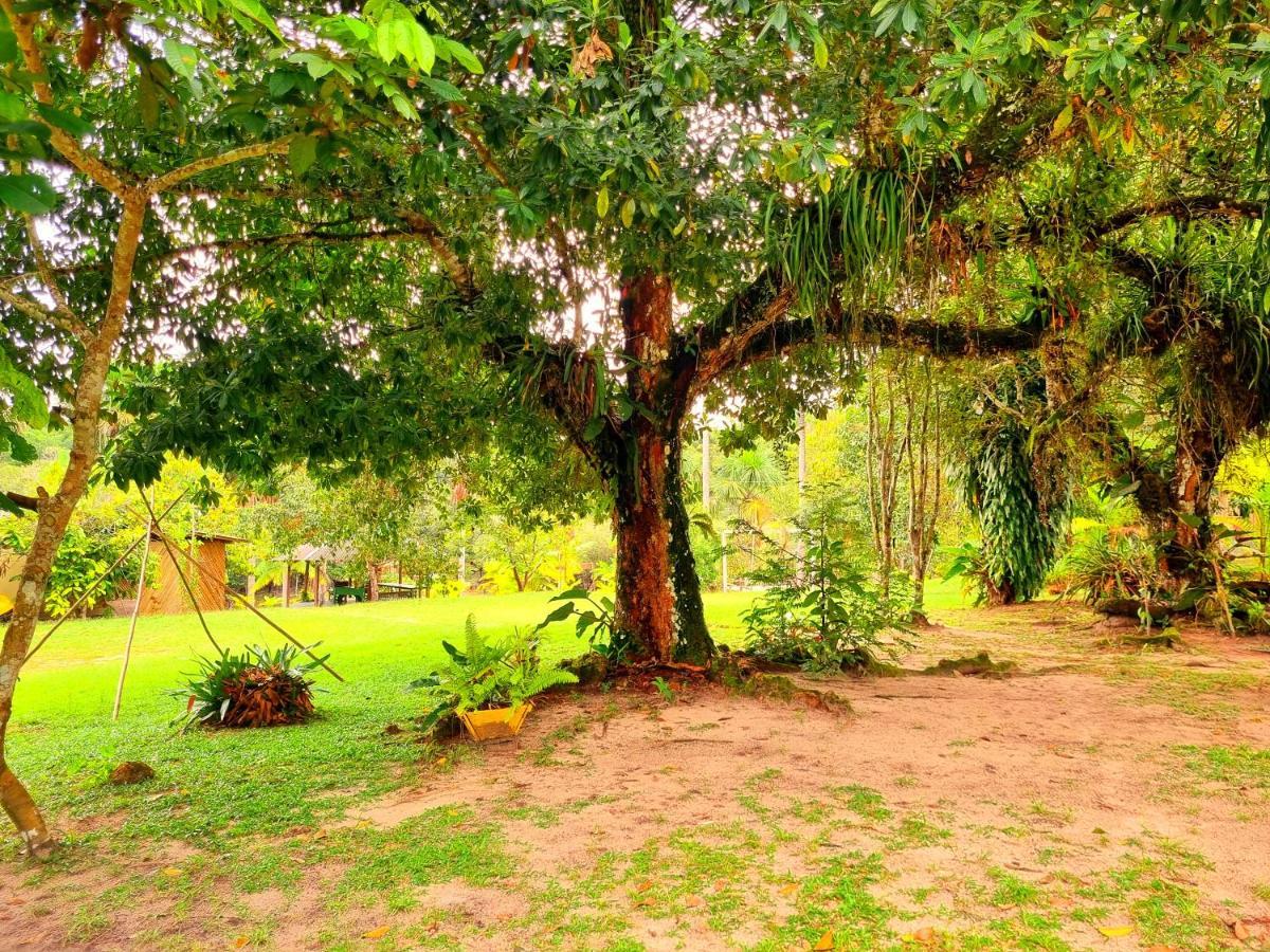 Ponta Poranga Jungle Lodge Manaus Dış mekan fotoğraf