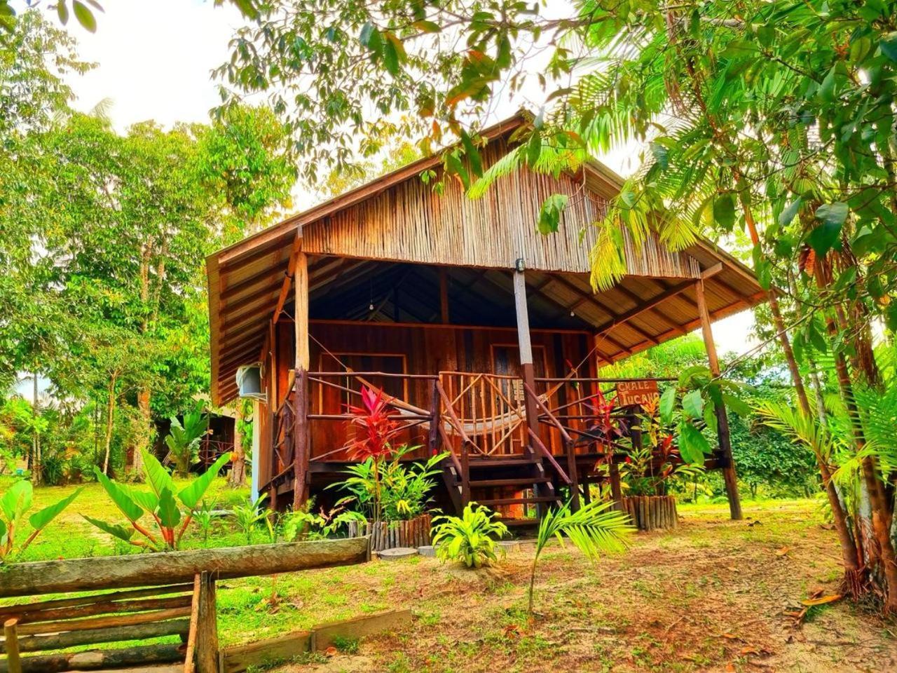 Ponta Poranga Jungle Lodge Manaus Dış mekan fotoğraf